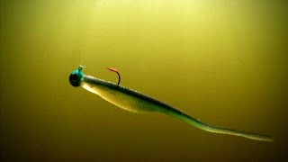 Soft Bait Magic - Lindner's Angling Edge 2013 S2 screenshot 4