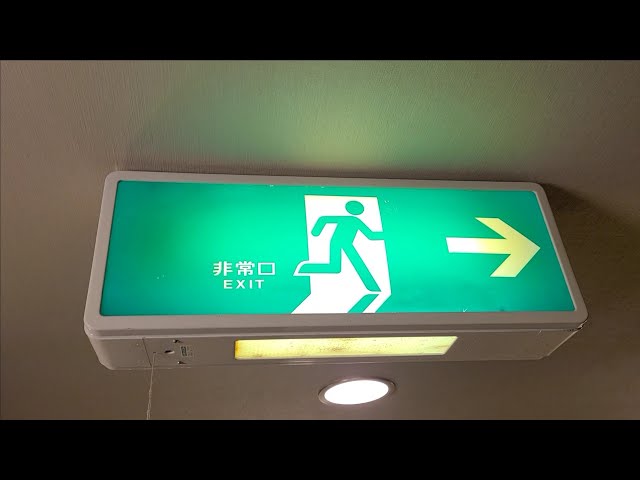 ピクトグラムは同じだが…】裏面の色が違う誘導灯 #誘導灯 #非常口