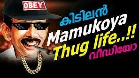Malayalam thug life video (mammukoya)