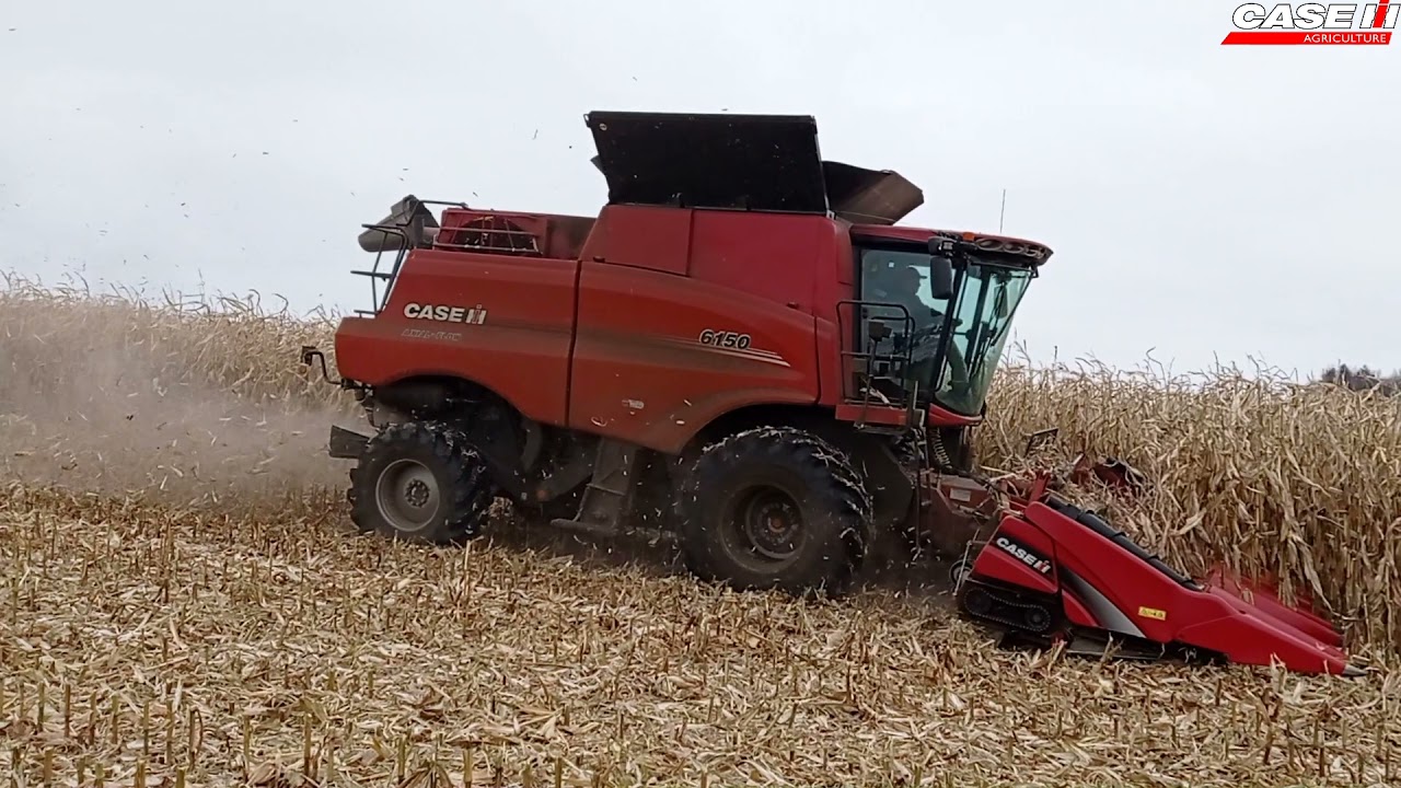 KOSZENIE KUKURYDZY CASE  6150 AXIAL-FLOW 2021 ROLMIX