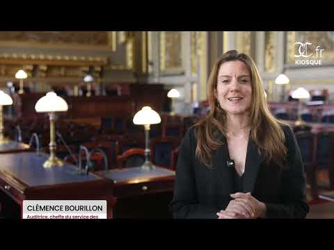 International Newsletter of the Court of Cassation - No. 7 - May 2026