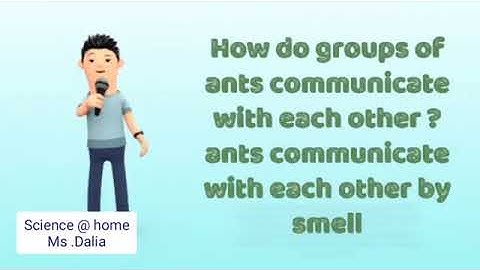 Primary 4 , First term , Unit 1 Concept 2 , lesson 4 ( How animals use communication systems )(Ants)