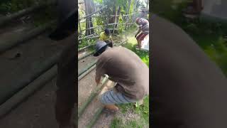 Proses Pembuatan Alikusu Kota Gorontalo