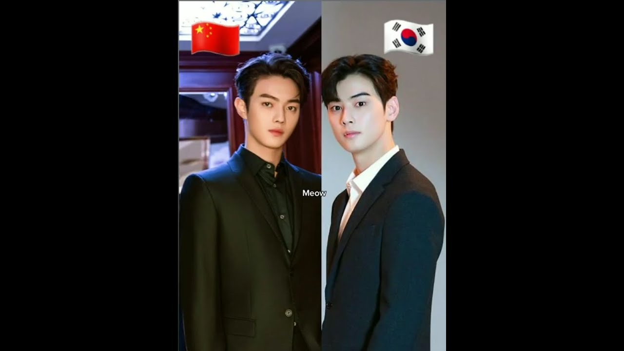 Xu Kai (Actor Chinese) Vs Cha Eun Woo (Actor Korean)