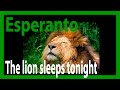 Jen Dormas La Leon - The Lion Sleeps Tonight in Esperanto