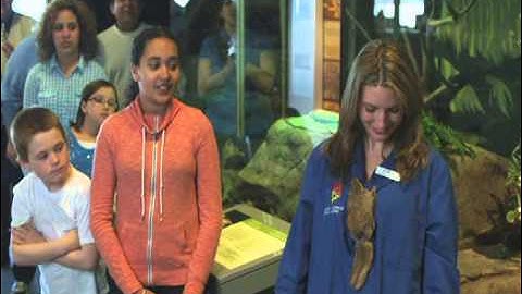 Science North 2013 Summer Commercial 2