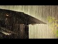 Epic Thunderstorm Sounds | Heavy Rain &amp; Very Powerful Thunder on Roof at Night | Rainstorm 10 Hours