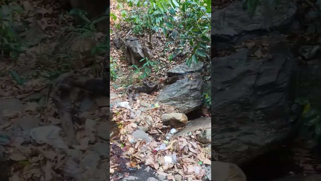 antadhar / rohila waterfall