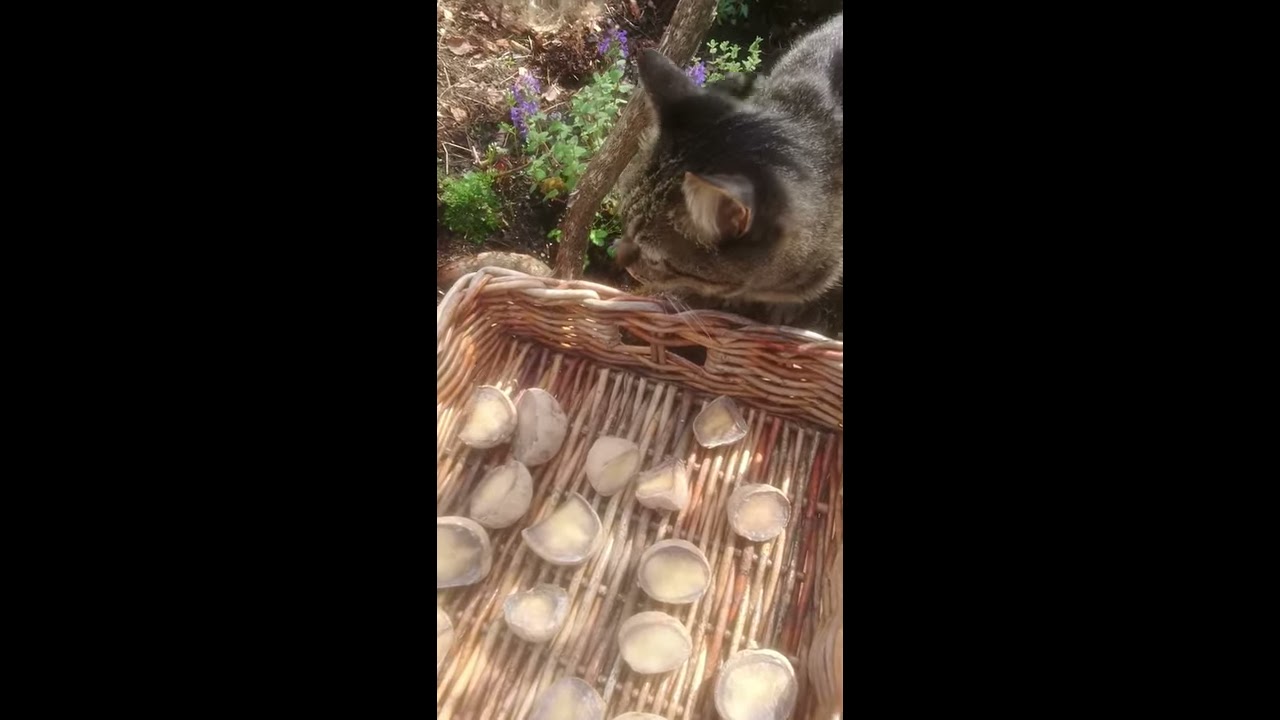 Grow organic potato.