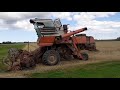Niva SK5 harvesting wheat summer 2020
