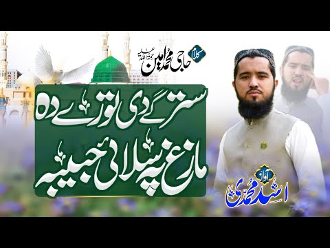 Starge Di Toori Da Mazagh Pa Salai Habeba Asad Muhammadi Naat سترگے دی توری دہ مازاغ پہ سلائ حبیبہ