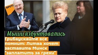 Грибаускайте все помнит: Литва хочет заставить Минск &quot;заплатить за грехи&quot;