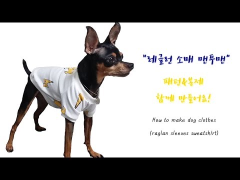 강아지옷 만들기, 레글런(나그랑) 소매 맨투맨 패턴&봉제