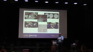 LSU Science Cafe August 2025 - Oysters, Brought to You by the Letters ‘R’ and ‘V’ Wealth