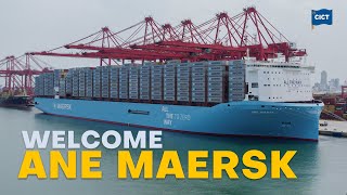 Welcome M.V. Ane Maersk | CICT | 2024 | @maersk