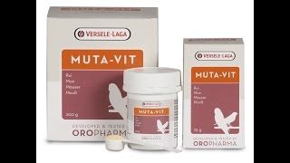 طريقة تقديم فيتامين Muta Vit للحسون