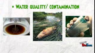 Integrated Solid Waste Management