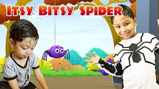 bitsy itsy spider nursery