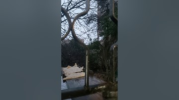 سورة يوسف بصوت الشيخ ياسر الفيلكاوي