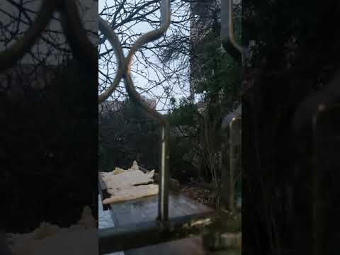 سورة يوسف بصوت الشيخ ياسر الفيلكاوي  سورة يوسف بصوت الشيخ ياسر الفيلكاوي