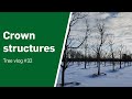 Crown structures  tree vlog 32