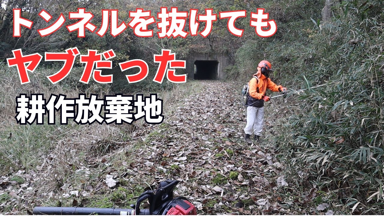 Even after going through the tunnel, there was still bushes