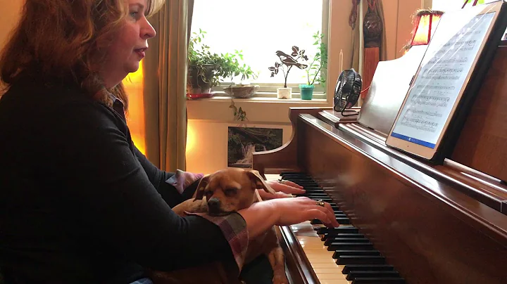 Adorable dog falls asleep while playing piano!