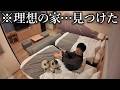 【ご報告】母犬がついに10歳になりました