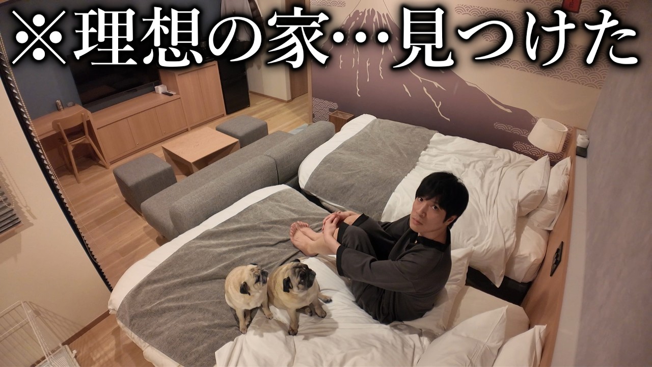 【ご報告】母犬がついに10歳になりました