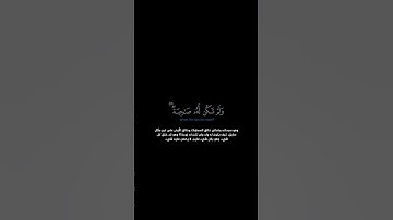 سورة الأنعام:الآية[١٠١]#القرآن_الكريم #الفرقان #سورة_الأنعام #محمد_اللحيدان #القران_الكريم#قران_كريم