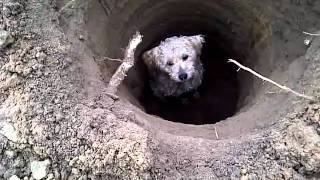 VID-20101125-00004
