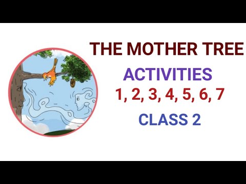 THE MOTHER TREE