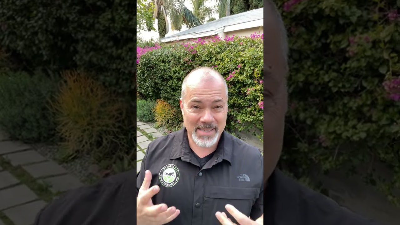 Preapproved plans for ADU's