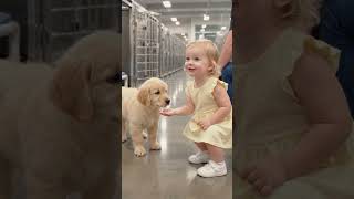 The Puppy Chose His Little Best Friend ❤️ | Heartwarming Adoption Story #shorts