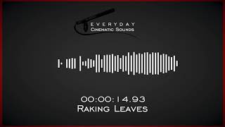 Raking Leaves | HQ Sound Effects