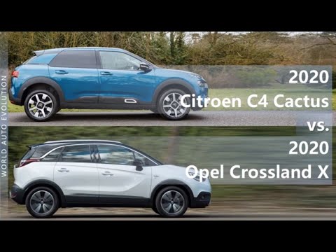 C4 cactus 2020