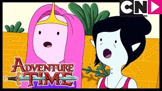 Мультарт Adventure Time Princess Bubblegum and Marceline the Vampire Queens Mission Cartoon Network