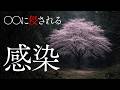 【怪談朗読】邪気の無い悪意…　他３話　千年怪談【語り手】sheep【奇々怪々】【怖い話】【朗読】【ホラー】【心霊】【オカルト】【都市伝説】【作業用】【睡眠用】