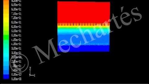 CFD Multiphase Eulerian Oil and water Seperation Tank