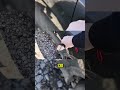 Kia K5: окрасы кузова и тест автомата на 212 000 км