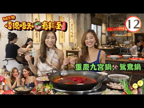 美食 | 中式 | 重慶九宮鍋、鴛鴦鍋 | 唔滾唔知有料到 #12 | 廖慧儀、伍韻婷 | 粵語中字 | TVB 2023