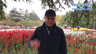 Проверенный способ, как улучшить дренаж в выгребно...
