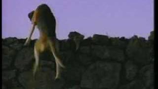 Energizer Bunny   1993 Commercial