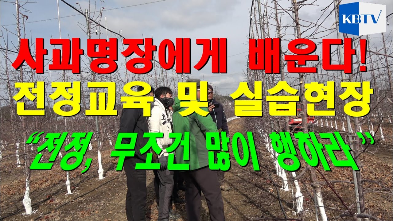사과나무 전지(전정) - 사과명장의 교육 현장 공개