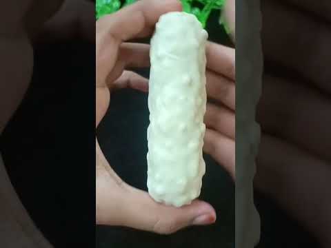 Lion White Bar Shorts Shortsfeed Ashortsaday 