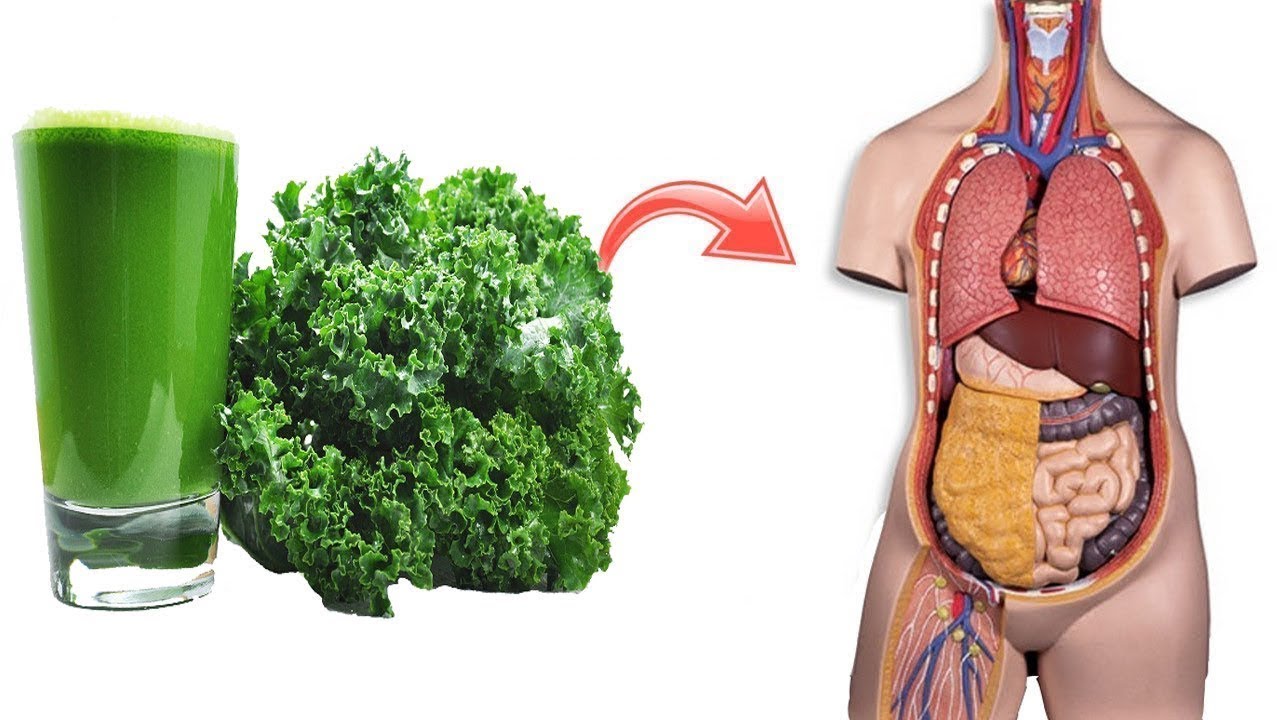 This is What Will Happen When You Eat Kale Every Day YouTube