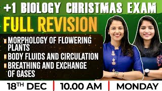 11 Biology Christmas Exam | Breathing and Exchange of Gases / Body Fluids / Morphology | Exam Winner screenshot 1