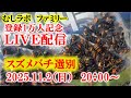登録1万人突破記念LIVE配信　オオスズメバチ選別作業トーク