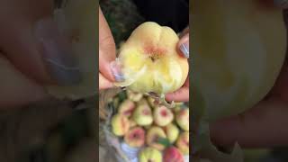 Agriculture Village Fresh Fruit #Viral #Fruit #Shorts #1055