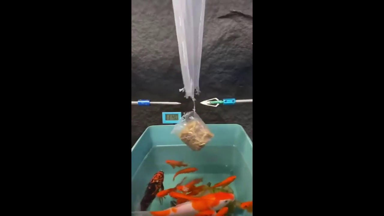 ИГРАЕМ НА СТРИМЕ ШОРТС